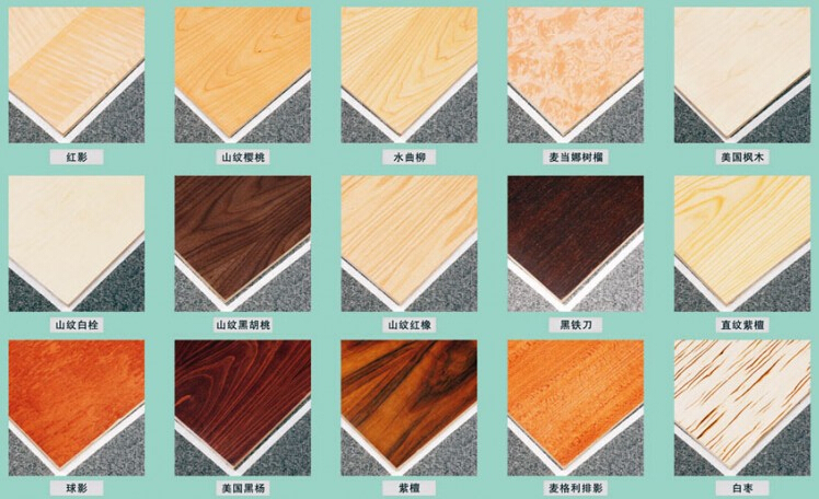 木板的种类有哪些? 木板的分类与品种解析