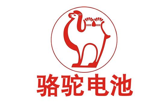 电池选择什么品牌的好 电池十大品牌排行