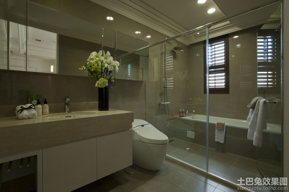 2014干湿分离卫生间装修效果图装修效果图_第1张 - 家居图库 - 九正家居网